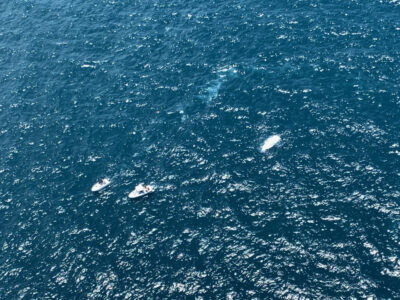 Good Samaritan rescue following flare alert