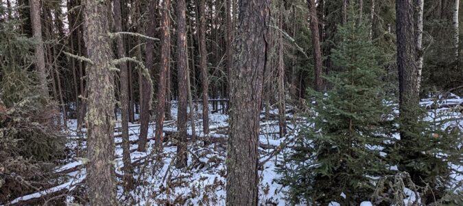 Flares used in rescue of missing hunter